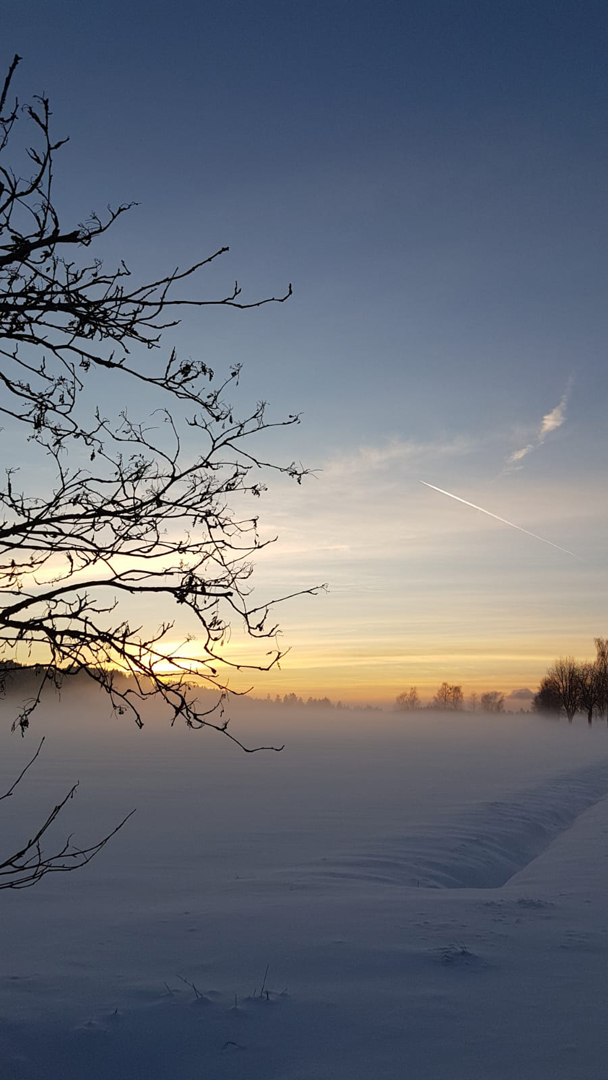 Landschaft im Schnee